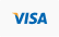 Visa icon